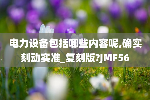 电力设备包括哪些内容呢,确实刻动实准_复刻版?JMF56