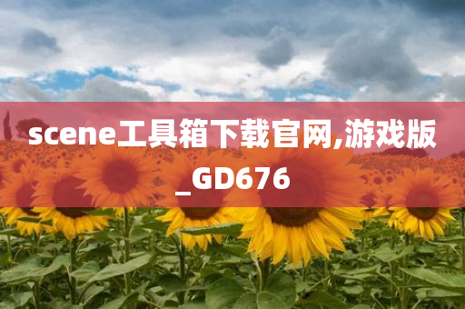 scene工具箱下载官网,游戏版_GD676