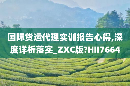 国际货运代理实训报告心得,深度详析落实_ZXC版?HII7664