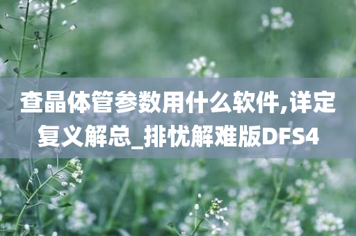 DFS4 第3页