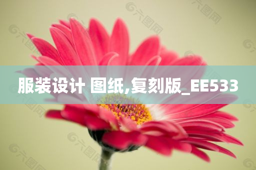 服装设计 图纸,复刻版_EE533