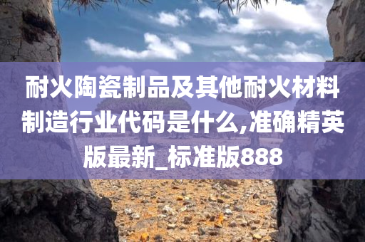 耐火陶瓷制品及其他耐火材料制造行业代码是什么,准确精英版最新_标准版888