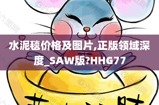 水泥毯价格及图片,正版领域深度_SAW版?HHG77