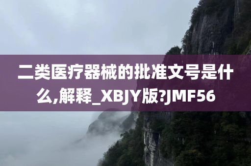 二类医疗器械的批准文号是什么,解释_XBJY版?JMF56