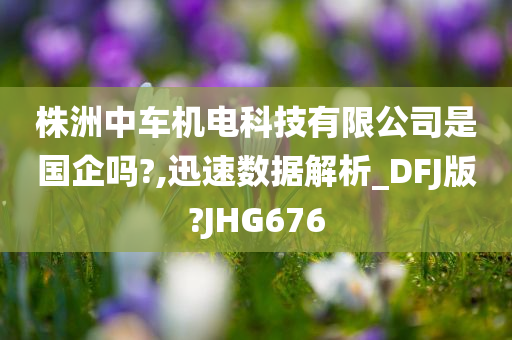 株洲中车机电科技有限公司是国企吗?,迅速数据解析_DFJ版?JHG676