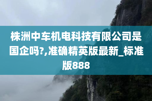 株洲中车机电科技有限公司是国企吗?,准确精英版最新_标准版888