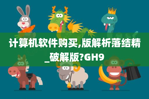 计算机软件购买,版解析落结精_破解版?GH9