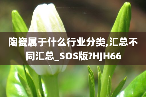 陶瓷属于什么行业分类,汇总不同汇总_SOS版?HJH66