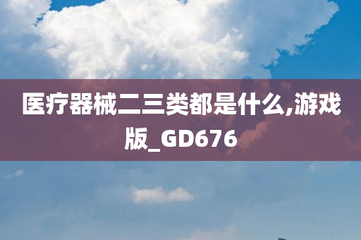 医疗器械二三类都是什么,游戏版_GD676