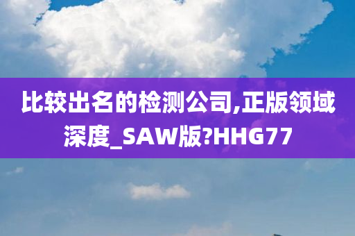 比较出名的检测公司,正版领域深度_SAW版?HHG77