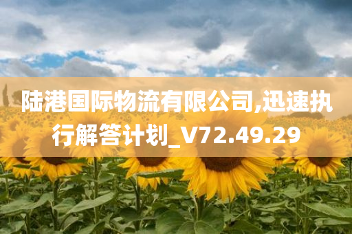 陆港国际物流有限公司,迅速执行解答计划_V72.49.29