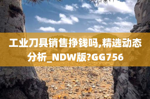 工业刀具销售挣钱吗,精选动态分析_NDW版?GG756