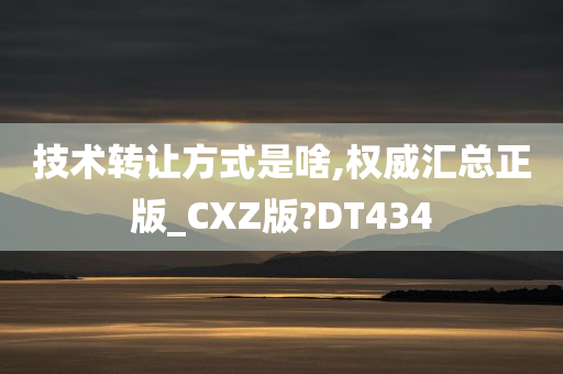 技术转让方式是啥,权威汇总正版_CXZ版?DT434