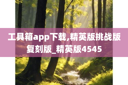 工具箱app下载,精英版挑战版复刻版_精英版4545