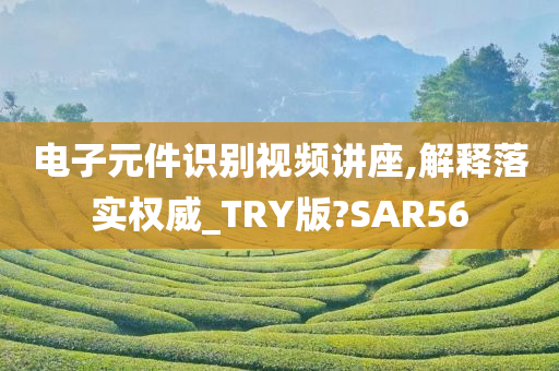 电子元件识别视频讲座,解释落实权威_TRY版?SAR56