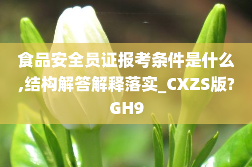 食品安全员证报考条件是什么,结构解答解释落实_CXZS版?GH9