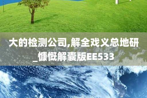 大的检测公司,解全戏义总地研_慷慨解囊版EE533