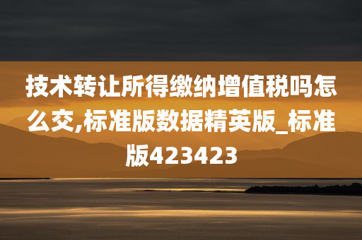 技术转让所得缴纳增值税吗怎么交,标准版数据精英版_标准版423423