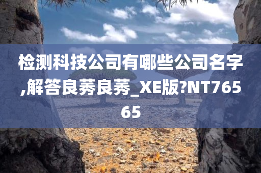 检测科技公司有哪些公司名字,解答良莠良莠_XE版?NT76565