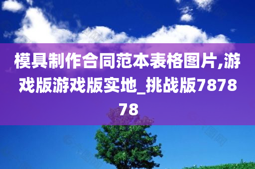 模具制作合同范本表格图片,游戏版游戏版实地_挑战版787878