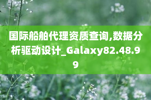 国际船舶代理资质查询,数据分析驱动设计_Galaxy82.48.99