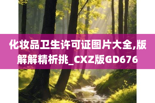 化妆品卫生许可证图片大全,版解解精析挑_CXZ版GD676