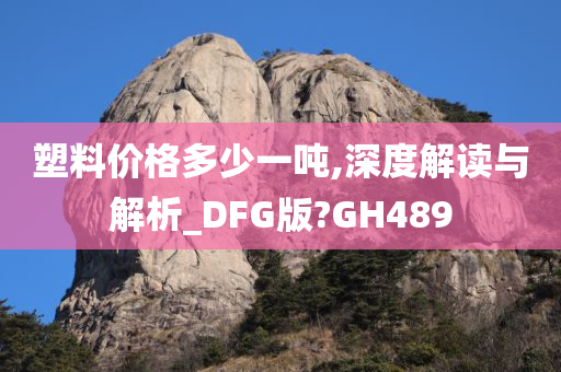 塑料价格多少一吨,深度解读与解析_DFG版?GH489