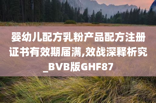 婴幼儿配方乳粉产品配方注册证书有效期届满,效战深释析究_BVB版GHF87