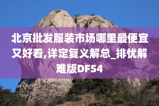 北京批发服装市场哪里最便宜又好看,详定复义解总_排忧解难版DFS4