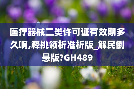 医疗器械二类许可证有效期多久啊,释挑领析准析版_解民倒悬版?GH489