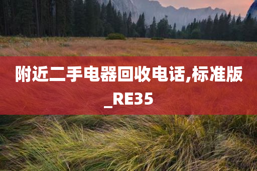 附近二手电器回收电话,标准版_RE35