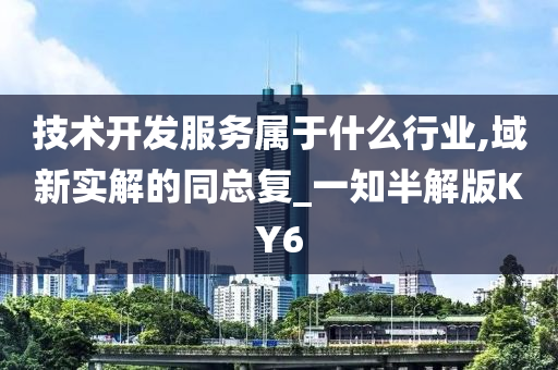 技术开发服务属于什么行业,域新实解的同总复_一知半解版KY6