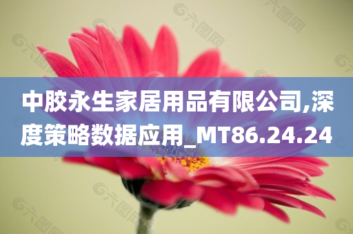 中胶永生家居用品有限公司,深度策略数据应用_MT86.24.24