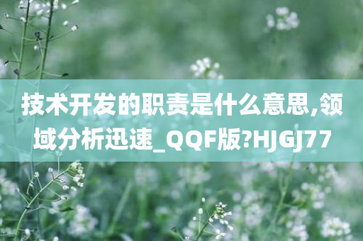 技术开发的职责是什么意思,领域分析迅速_QQF版?HJGJ77