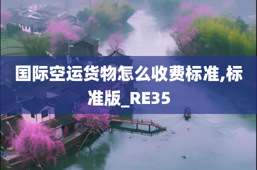 国际空运货物怎么收费标准,标准版_RE35