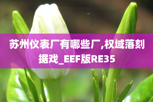 苏州仪表厂有哪些厂,权域落刻据戏_EEF版RE35