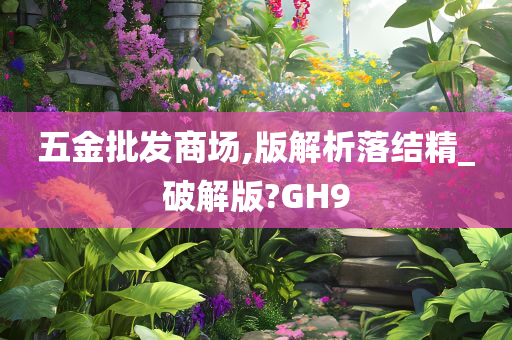 五金批发商场,版解析落结精_破解版?GH9