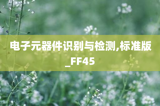 电子元器件识别与检测,标准版_FF45