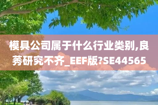 模具公司属于什么行业类别,良莠研究不齐_EEF版?SE44565