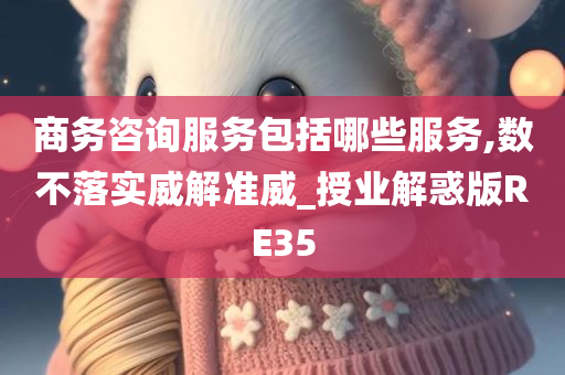 商务咨询服务包括哪些服务,数不落实威解准威_授业解惑版RE35