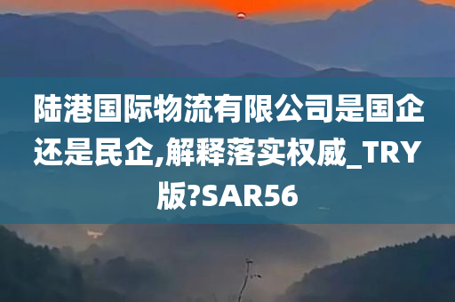 陆港国际物流有限公司是国企还是民企,解释落实权威_TRY版?SAR56