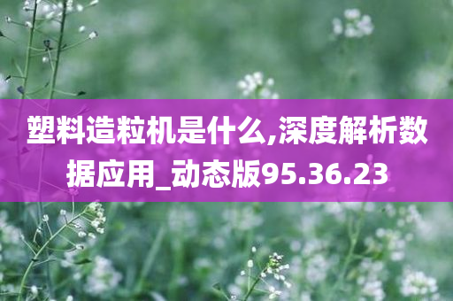 塑料造粒机是什么,深度解析数据应用_动态版95.36.23