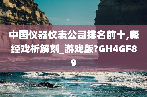 中国仪器仪表公司排名前十,释经戏析解刻_游戏版?GH4GF89