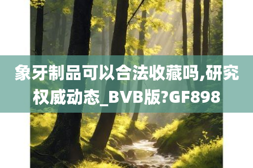 象牙制品可以合法收藏吗,研究权威动态_BVB版?GF898