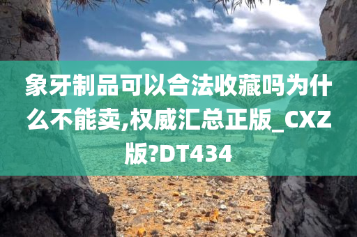 象牙制品可以合法收藏吗为什么不能卖,权威汇总正版_CXZ版?DT434