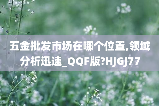 五金批发市场在哪个位置,领域分析迅速_QQF版?HJGJ77