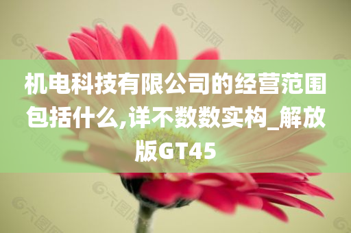 机电科技有限公司的经营范围包括什么,详不数数实构_解放版GT45