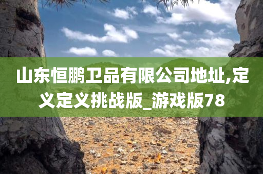 山东恒鹏卫品有限公司地址,定义定义挑战版_游戏版78