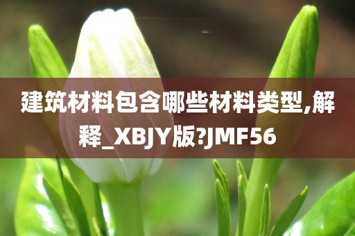 建筑材料包含哪些材料类型,解释_XBJY版?JMF56