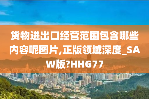 货物进出口经营范围包含哪些内容呢图片,正版领域深度_SAW版?HHG77